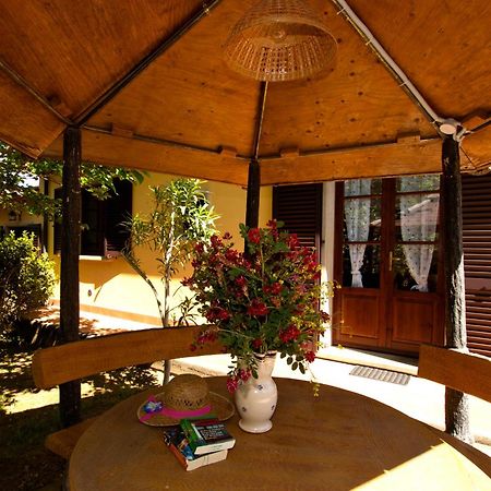 Agriturismo Cerroni Montescudaio Esterno foto