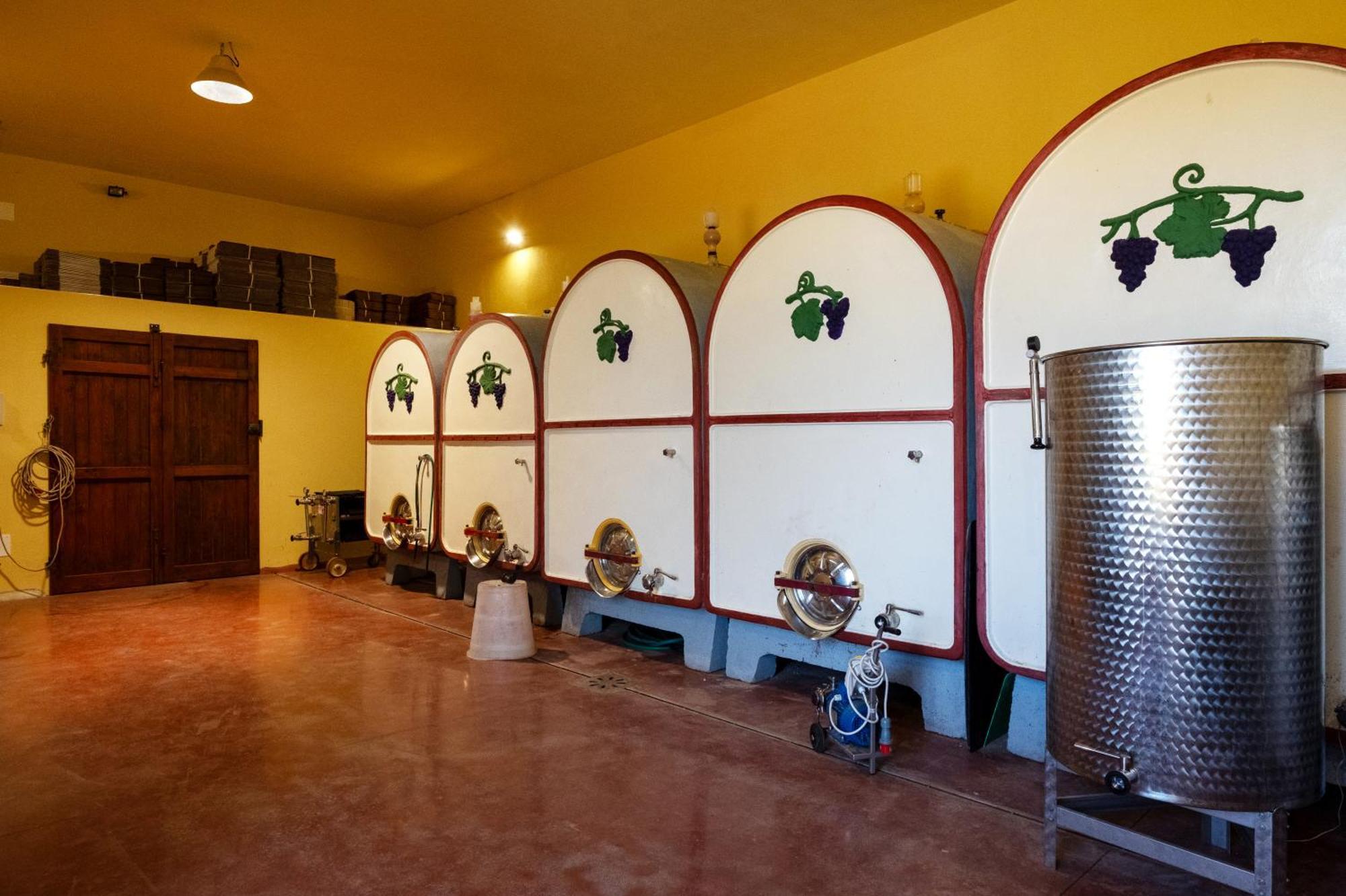 Agriturismo Cerroni Montescudaio Esterno foto