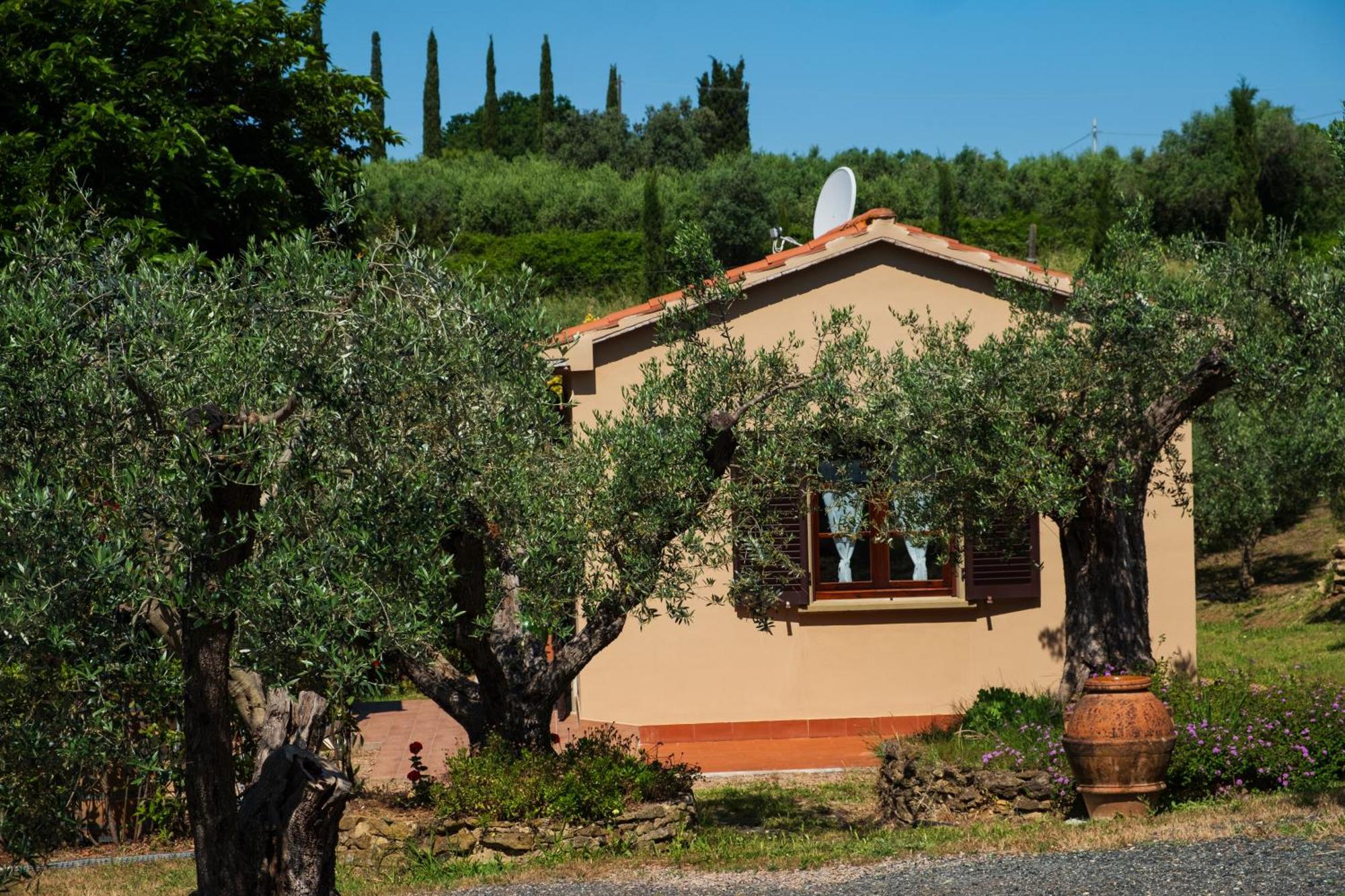 Agriturismo Cerroni Montescudaio Esterno foto