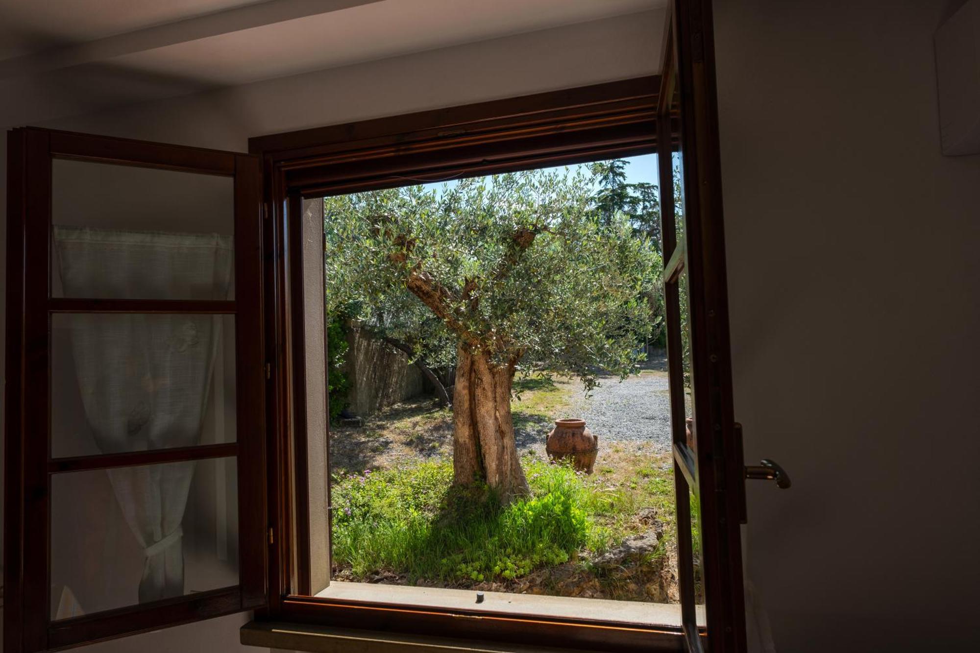 Agriturismo Cerroni Montescudaio Esterno foto