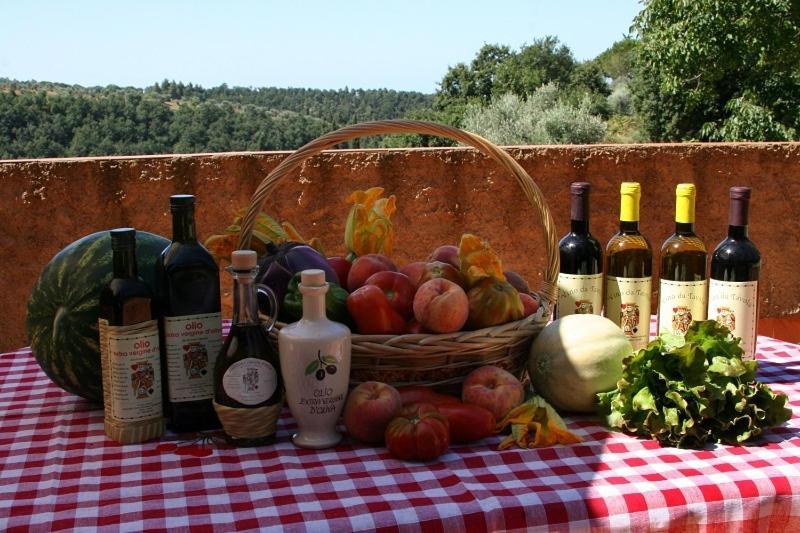 Agriturismo Cerroni Montescudaio Esterno foto